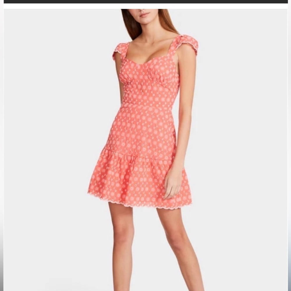 🎁NWT Betsey Johnson Dress